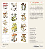 Mushroom themed 2025 calendar (watercolors by mushroom artist Alexander Viazmensky)